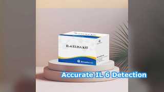 مجموعة IL-6 ELISA 96 تختبر الكشف الدقيق