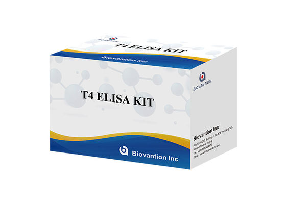 مجموعة الكشف عن هرمون الثيروكسين T4 Elisa
