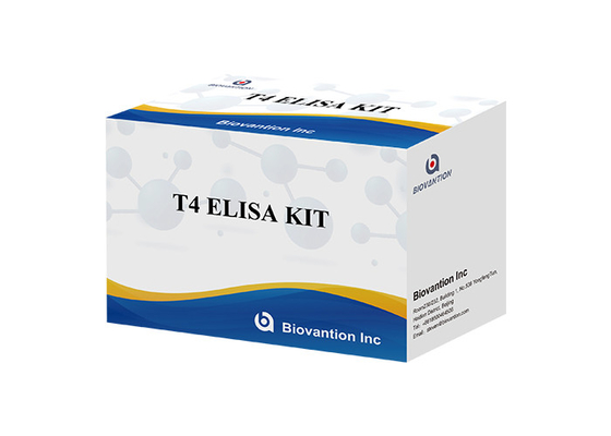 مجموعة الكشف عن Thyroxine T4 Elisa الكشف الدقيق للغاية الاستخدام في المستشفيات والمختبرات