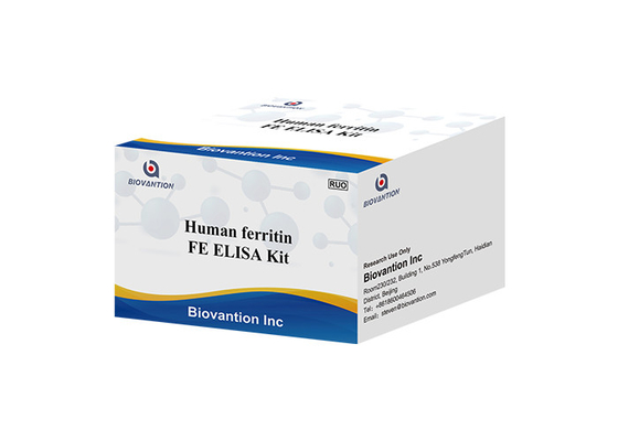 96 Wells FE Ferritin Elisa Test Human Ferritin Elisa Kit