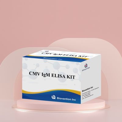 مجموعة اختبار CMV IgG Elisa عالية الدقة للمختبر أو المستشفى
