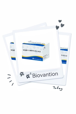 VCAM-1 RUO Elisa Kit جزيء الارتباط الخلوي للأوعية الدموية البشرية 1