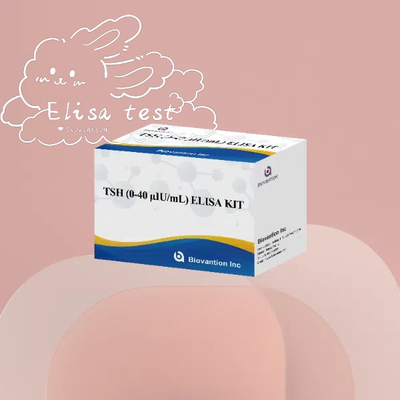 مجموعة تحديد الكمية لـ TSH Elisa Reagent المصل تحفيز الغدة الدرقية