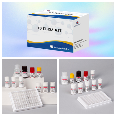 مجموعة اختبار T3 Elisa القابلة للتخصيص لتحديد الكميات الدقيقة للمؤشرات الحيوية