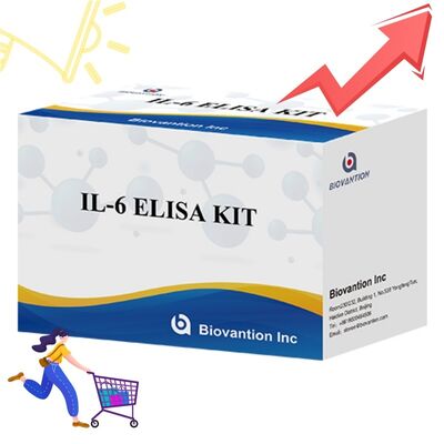 IL-6 Interleukin-6 Human ELISA Kit مع دقة 99٪ 24 شهرًا و 96 اختبارًا / Kit