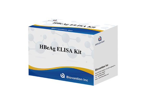 مجموعة اختبار HBeAg Elisa البشرية اختبار مستضد التهاب الكبد الوبائي ب المغلف