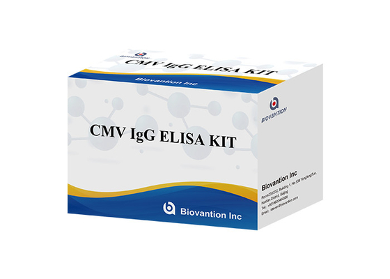 لمختبر أو مستشفى عالية الدقة IgG الأجسام المضادة للفيروسات السيتوميغالوفيروس Elisa Test Kit