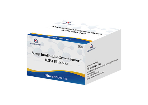 Sheep Igf1 Elisa Kit الأنسولين مثل عامل النمو I Somatomedin