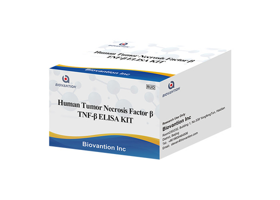 TNFB TNFSF1 Lymphotoxin Alpha LTA ELISA KIT عامل نخر الورم البشري بيتا