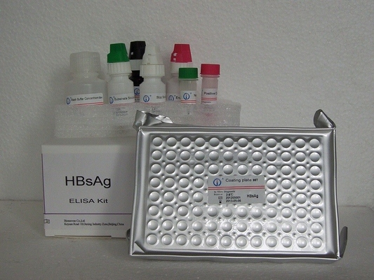 مختبر أو مستشفى مجموعة اختبار ELISA الكمية عالية الدقة HBsAb