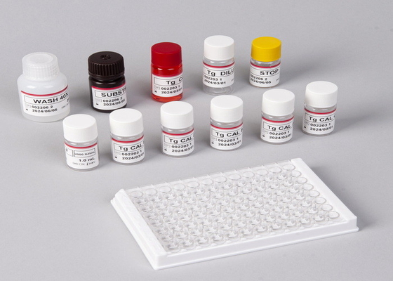 E2 مجموعة اختبار ELISA الكشف في المختبر الكشف الطبي الدقة العالية