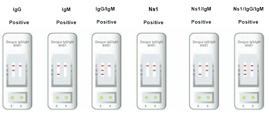 المستشفيات والمراكز الطبية، مجموعة اختبار الدينغوي IgG و IgM ذاتية الدقة العالية