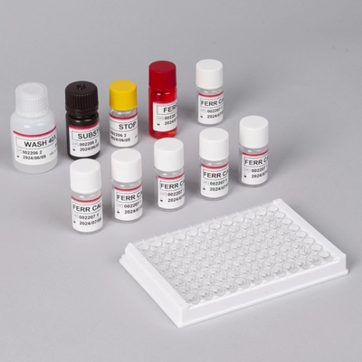 مجموعة اختبار الفيرتين ELisa الحساسية السريعة في المصل اختبار Elisa Biovantion 2-3 ساعات وقت الاختبار 2-8.C تخزين