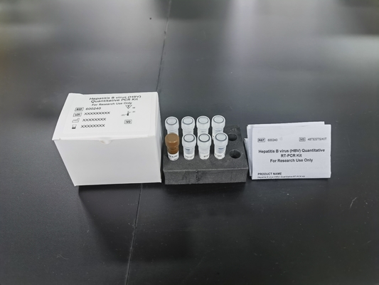 مجموعة اختبار ELISA الكمية الكيميائية والصيدلانية لـ HBV PCR لتشخيص RUO