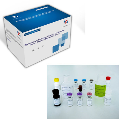 مجموعة اختبار ELISA سهلة الإصابة بالسل IGRA مع مدة صلاحية طويلة وطريقة الحفاظ 2C-8C