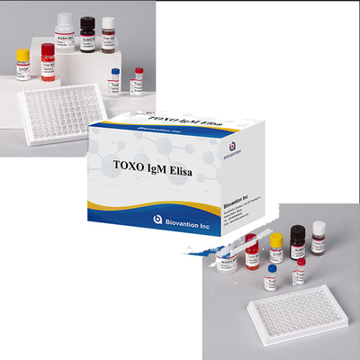 المستشفيات المختبرات العيادات تستخدم دقة عالية Toxo IgM ELISA اختبار KIT