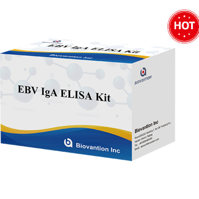 EBV- VCA IgA Ab ELISA Kit Kit للكشف عن الأدلة المناعية