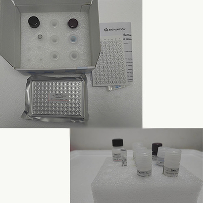 مجموعة اختبار TNF-α RUO Elisa البشرية للمصل مع 96 اختبارًا