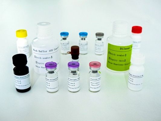 المصل البلازما السل-IGRA