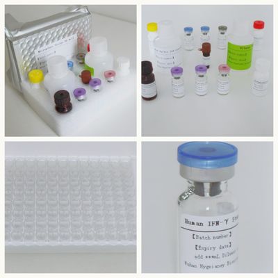 المصل البلازما السل-IGRA