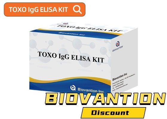 مجموعة اختبار إيليسا الحساسة والخاصة لـ TOXO Ig G لمراقبة المرض