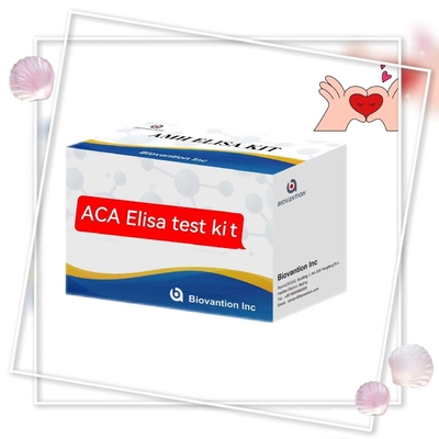 التخصص 2-3 ساعة اختبار الحيوانات ضد ACA IgM Elisa مع عمر الاحتفاظ بـ 18 شهرًا