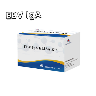 مجموعة اختبار إيليسا المهنية لمجموعة تشخيص أجسام مضادة IgA لـ EBV-Zta