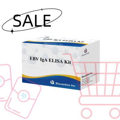 مجموعة اختبار إيليسا المهنية لمجموعة تشخيص أجسام مضادة IgA لـ EBV-Zta