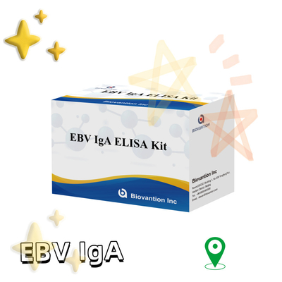 مجموعة اختبار إيليسا المهنية لمجموعة تشخيص أجسام مضادة IgA لـ EBV-Zta