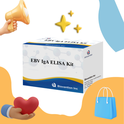 مجموعة اختبار إيليسا المهنية لمجموعة تشخيص أجسام مضادة IgA لـ EBV-Zta