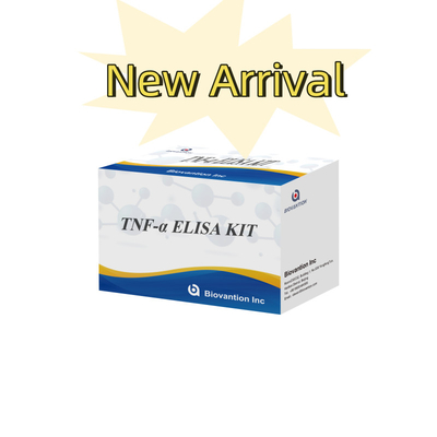 اختبار TNF-α RUO Elisa للبلازما في المصل حل تشخيصي دقيق ومريح للبحث