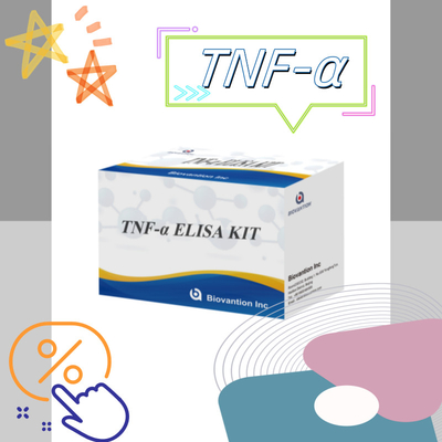 اختبار TNF-α RUO Elisa للبلازما في المصل حل تشخيصي دقيق ومريح للبحث