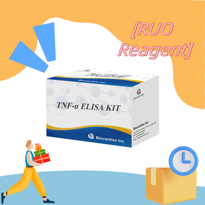 اختبار TNF-α RUO Elisa للبلازما في المصل حل تشخيصي دقيق ومريح للبحث