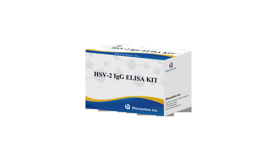 تعليمات عالية الدقة لاستخدام مجموعة اختبار ELISA الشعلة HSV II IgG
