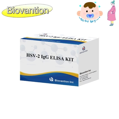 تعليمات عالية الدقة لاستخدام مجموعة اختبار ELISA الشعلة HSV II IgG