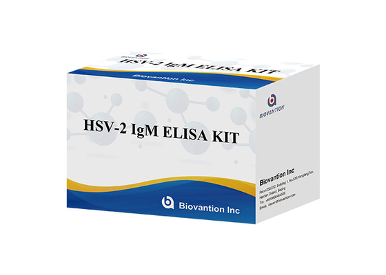 مجموعة اختبار ELISA لـ HSV 2 IgM مشعل دقة عالية تعليمات الاستخدام