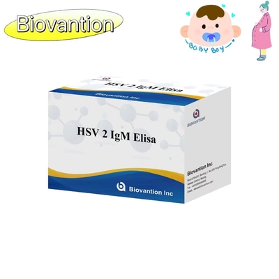 مجموعة اختبار ELISA لـ HSV 2 IgM مشعل دقة عالية تعليمات الاستخدام