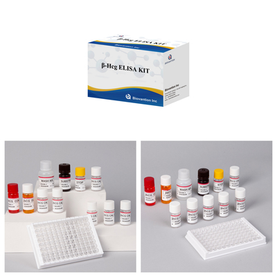 β- hCG ((كمية) 1 ساعة مجموعة اختبار اليزا للحساسية والخصائص المضادة