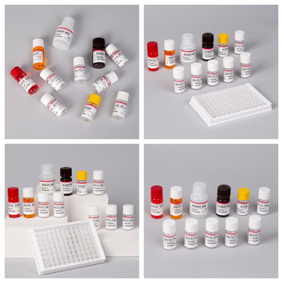 β- hCG ((كمية) 1 ساعة مجموعة اختبار اليزا للحساسية والخصائص المضادة