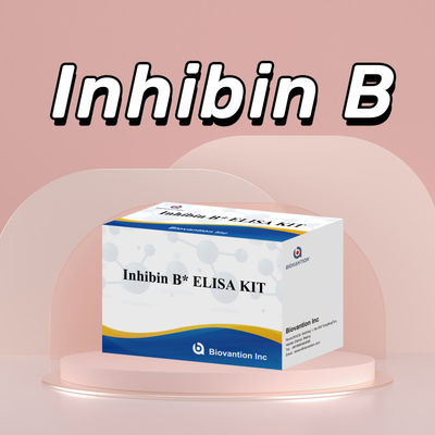 مجموعة اختبار Biovantion Inhibin B Elisa للتشخيص البشري مع 96T