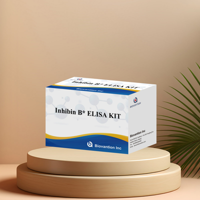 مجموعة اختبار Biovantion Inhibin B Elisa للتشخيص البشري مع 96T