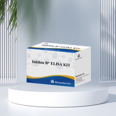 مجموعة اختبار Biovantion Inhibin B Elisa للتشخيص البشري مع 96T