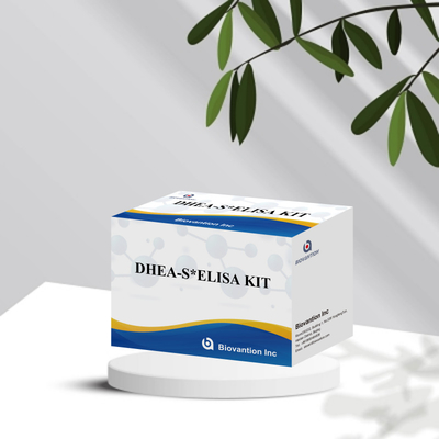 اختبار البيوفانشن ديهيدروبيانديروستيرون سولفات DHEA-S مجموعة اختبار Elisa الحساسة