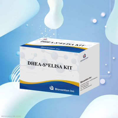 اختبار البيوفانشن ديهيدروبيانديروستيرون سولفات DHEA-S مجموعة اختبار Elisa الحساسة