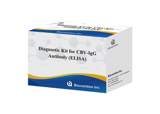مجموعة التشخيص لـ CBV-IgG مجموعة اختبار ELISA المضادة للجسم اختبار المصل