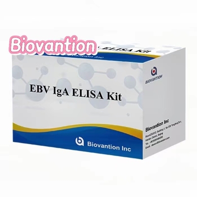 الأجسام المضادة IgA إلى EBNA1 Elisa Test Kit صيغة مجموعة العينات 50μL