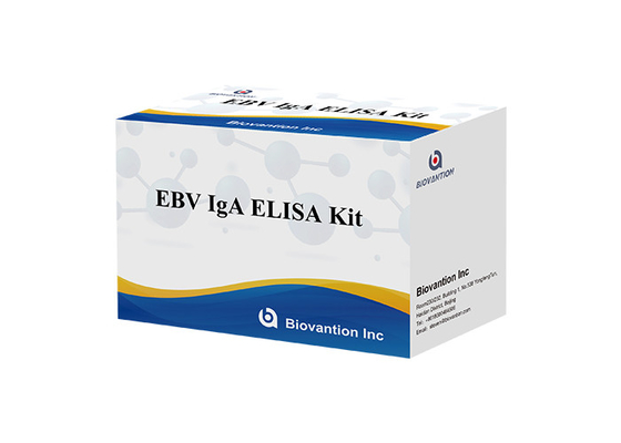 الأجسام المضادة IgA إلى EBNA1 Elisa Test Kit صيغة مجموعة العينات 50μL
