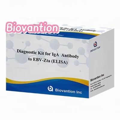 مجموعة التشخيص لمضادات IgA لـ EBV-Zta ELISA Test KIT مجموعة اختبار المستنشاق المناعي