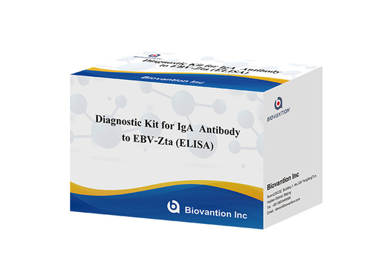 مجموعة التشخيص لمضادات IgA لـ EBV-Zta ELISA Test KIT مجموعة اختبار المستنشاق المناعي