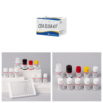 الموافقة على استخدام البشر CEA مجموعة اختبار ELISA الكمية اختبار دم أو مصل 96T